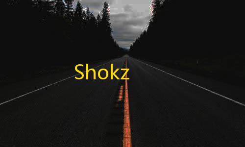 暗区突围免root直装辅助器Shokz